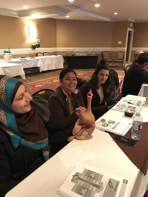 IMG 3061